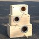 thumbnail image 5 of Caja Nido de Madera YJJKJ para Periquitos, Periquitos Australianos y Cotorra Ninfa - Cría, 5 of 9