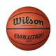thumbnail image 1 of Juego De Baloncesto Evolution Indoor Intermedio Talla 6, 1 of 8