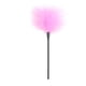thumbnail image 1 of Flirting Feather Stick, Feather Tickler, Couple BDSM Sex Toys, 1 of 3