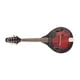 thumbnail image 2 of Mandolina Epic Electroacustica MEP01, 2 of 2