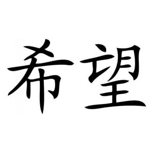 Rienda Libre Graphics - Decomural Hope Chinese Symbol Ws-16077