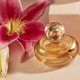 thumbnail image 5 of Perfume O BOTICARIO Lily Eau de Parfum 75 ml para mujer, 5 of 8