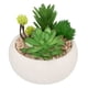 thumbnail image 1 of Suculentas con maceta cemento, 10 cm de alto, 1 of 2