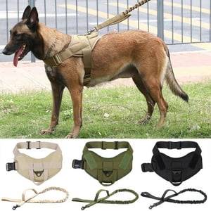 Genérico - Arnés Táctico De Lanzamiento Negro Talla L Con Cuerda Perro