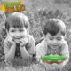 thumbnail image 5 of Bug Catcher Nature Bound Critter Box para niños, verde a partir de 3 años, 5 of 5