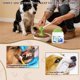 thumbnail image 5 of Polvo Dental Para Perros 2 Paquetes Limpieza De Dientes Y Refrescante De Aliento, 5 of 7