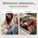 thumbnail image 5 of Toallitas para perros Paw Fume, 100 unidades, hipoalergénicas y suaves, 5 of 8