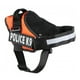 thumbnail image 1 of Arnes Police K9 Reforzado Perros Medianos Grandes M L Xl, 1 of 2