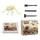thumbnail image 3 of Kits De Excavación De Esqueleto De Animales Para Niños, Juguetes De Excavación DIY Para Niños En Edad Preescolar, Estilo D, 3 of 5