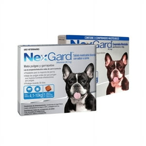 Nexgard - Antiparasitario Masticable Para Perros De 4 A 10 Kilos Caja, 1 Comprimido