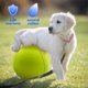 thumbnail image 4 of Pelota de tenis para perros de 9,5 pulgadas, juguete grande para mascotas, pelota deportiva para exteriores para perros, 4 of 5