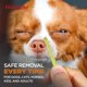 thumbnail image 5 of Herramienta para eliminar garrapatas Homesake para perros, gatos y humanos, 3 paquetes, 5 of 7