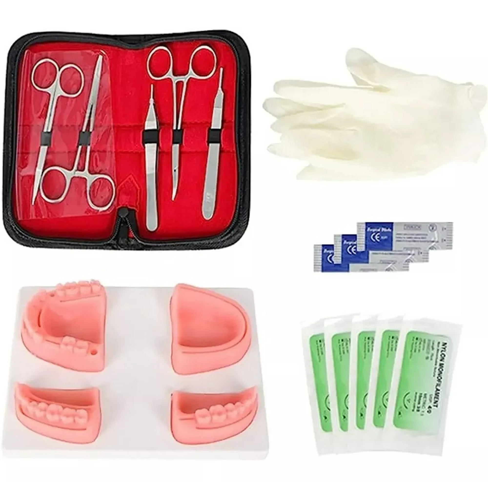D&m - Kit Dental De Entrenamiento Para Estudiante De Odontología
