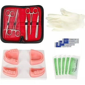 D&M - Kit Dental De Entrenamiento Para Estudiante De Odontología