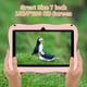 thumbnail image 3 of Tablet PRITOM Kids de 7 pulgadas, 32 GB, ROM, WiFi, Bluetooth, con funda, rosa, 3 of 8