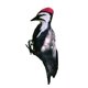 thumbnail image 5 of Regalo Artificial Del Pájaro Del Pájaro Carpintero De La Simulación Para El Patio Al Aire Libre Decorativo, 5 of 5