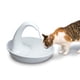 thumbnail image 4 of Bebedero para mascotas Pioneer Pet Swan con capacidad de 2,4 litros para gatos y perros, 4 of 5
