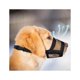 thumbnail image 1 of Bozal Evollax para perros grandes con malla de aire ajustable, 1 of 7