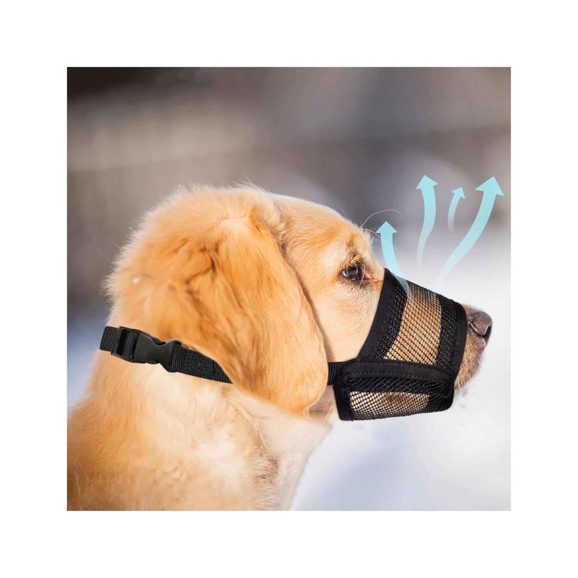 Bozal Evollax Para Perros Grandes Con Malla De Aire Ajustable