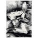 thumbnail image 1 of Alfombra de área Abani 61 x 91 cm negra y blanca con diseño floral en espiral, 1 of 7