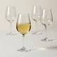 thumbnail image 3 of Juego de 4 copas Lenox para Pinot Grigio, cristal transparente, 1,2 kg, 3 of 9