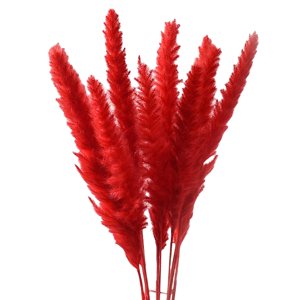 Magideal - 15 Piezas De Césped Artificial Seco, Ramo De Flores De Caña Phragmites Para Jarrón, Para Accesorios De Fotografía De Sala De Estar, Decoración De , Rojo