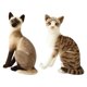 thumbnail image 2 of 2 Uds Gatos De Simulación Animal Relleno De Felpa Juguete De Peluche Regalo De Cumplea?os Sentado, 2 of 5