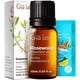 thumbnail image 1 of Aceite Esencial Gya Labs de Palo de Rosa 10 ml para Aromaterapia, 1 of 6