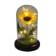 thumbnail image 2 of Rosa Eterna Girasol Cupula Vidrio Lampara Led Base Madera, 2 of 6