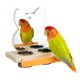 thumbnail image 1 of Espejo con forma de loro PANQIAGU de Bird Toy con copas de acero inoxidable, 1 of 6