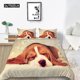 thumbnail image 1 of x1974 Bed SheetsAnimal Dog Bedding Sets Cute Dog Fashion Duvet Cover Twin Lovely Pet Dog for Kid Adults Children Room Decoration 3-Piece Bedding Set (1 Duvet Cover + 2 Pillow Shams) nj1974, 1 of 5