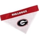thumbnail image 1 of Pets First Collegiate Pet Accessories, Bandana Reversible, G, 1 of 3