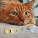 thumbnail image 3 of Set 5 Juguetes Mascota Goma Resistente Morder Perros Lau, 3 of 3