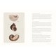thumbnail image 5 of Wellfleet Press – La maravilla de las conchas marinas, 5 of 6