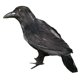 thumbnail image 2 of Artisticial Realistic Woodland Bird para Garden Weding Decoración del hogar Style01, 2 of 5