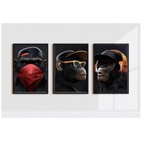 Genérico - Cuadros Decorativos Simios Pack X 3 Uds 35X50 Cm C/U