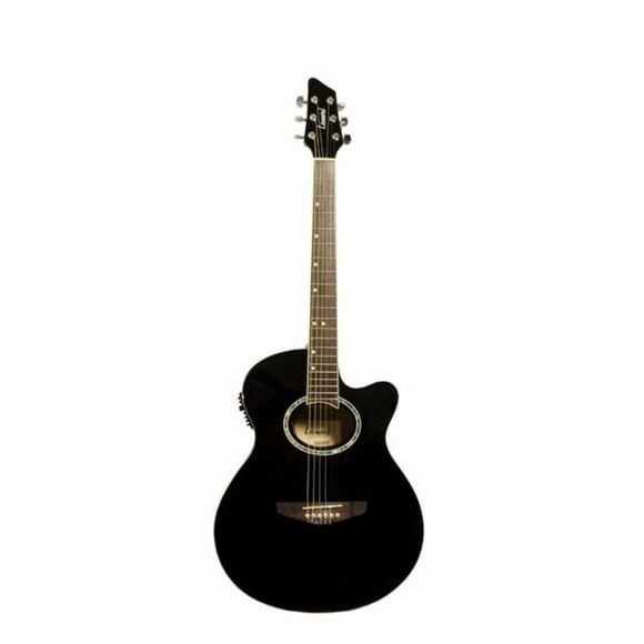 Guitarra Electroacustica Leonard FG262e BK