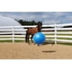 thumbnail image 2 of Pelota inflable Horsemen's Pride Mega Ball de 30 cm para caballos, color azul, 2 of 4