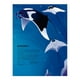 thumbnail image 3 of Enciclopedia De Animales, 3 of 5