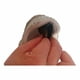 thumbnail image 4 of Inserciones para reparar el talón de zapatos Heng happy con 2 pares negros y 1 gris, 4 of 6