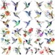 thumbnail image 1 of COKTAK 15 Sheets 3D Watercolor Hummingbird Temporary Tattoos - Multicolor Hummer Birds Tattoo for Women, Girls, and Kids - Waterproof and Fake Face Tattoo - Small and Colorful Flower and Fake Tattoo -, 1 of 3