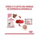 thumbnail image 3 of ALIMENTO ROYAL CANIN MOTHER AND BABYCAT Lata 145Gr PACK X6 amarillo, 3 of 3