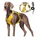 thumbnail image 1 of Pechera Arnés De Seguridad Para Perro Chico Mediano Y Grande, 1 of 5