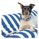 thumbnail image 1 of Collar de Perro con Llavero Universidad Catolica - Pack Talla L, 1 of 9