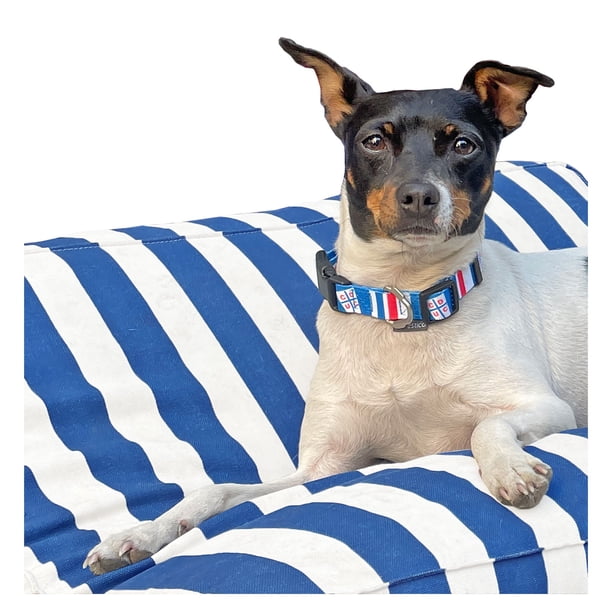 Collar de Perro con Llavero Universidad Catolica - Pack Talla L