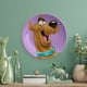 thumbnail image 5 of Scooby-Doo Plato decorativo de porcelana fina (bone china), plato decorativo de cerámica para hogar, oficina, soporte de pared, platos decorativos para dormitorio - 6 pulgadas (15 cm), 5 of 6
