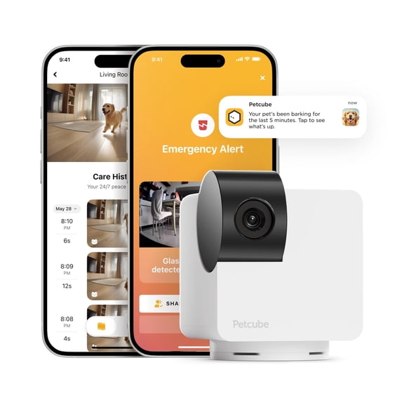 Cámara 360 Petcube Cam Interactive WiFi 1080p HD Video