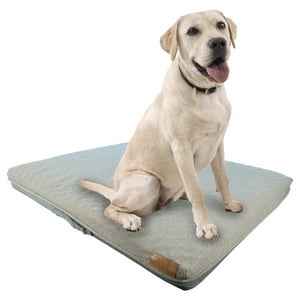 Petwoow - Cama Mascota Maite 100X80X10 Cm L