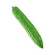 thumbnail image 4 of Vegetal Artificial Realista De Poliuretano Sintético Para Dibujar En La Sala De Estar, Vacaciones, Melón Amargo Corto, 4 of 5