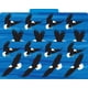 thumbnail image 5 of Set de 12 carpetas de archivadores Barker Creek Designer Sea & Sky, 5 of 8